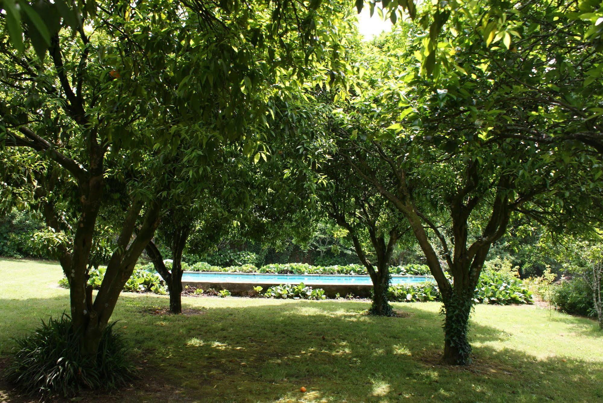 Casa Dos Assentos De Quintiaes Bed and Breakfast Barcelos Εξωτερικό φωτογραφία